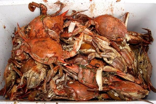 Steamed Crabs