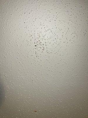 Blood splatter on ceiling