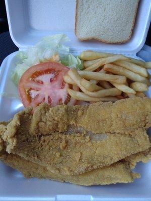 2 piece fish, terrible cold old fries & salad