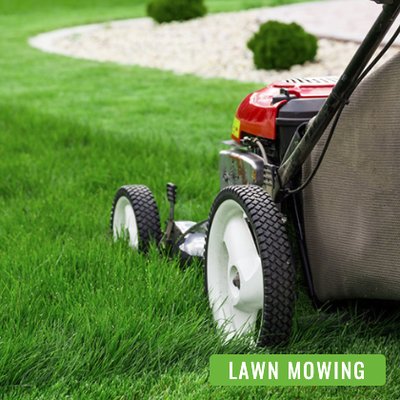 Solid Grounds Lawn Care