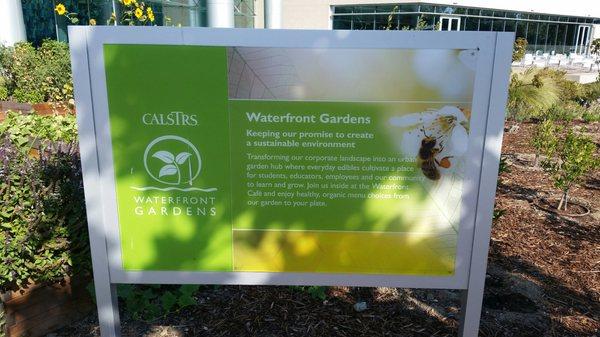 Waterfront garden