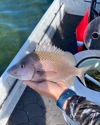 Florida Fish Invaders Charters