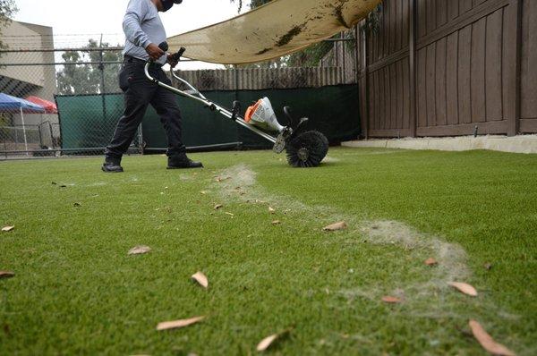 Pet hair and debris removal during TurfCare Service