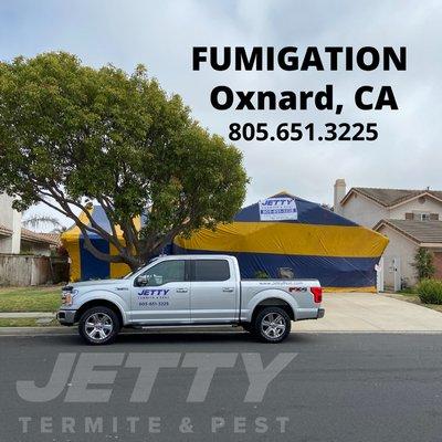 Fumigation in Oxnard, CA