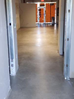 Matte concrete polished floor