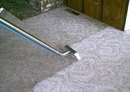 Carpet