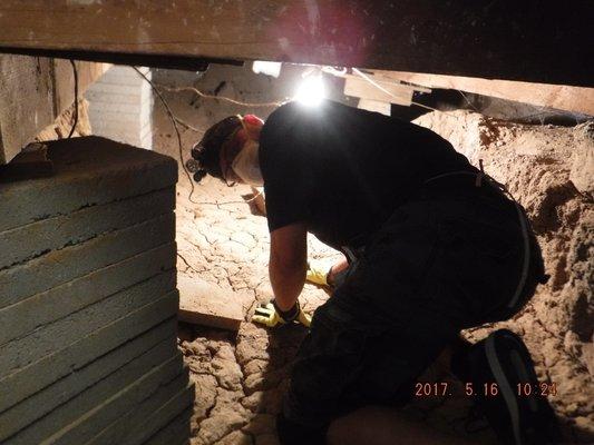 Crawl Space Inspection