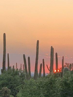 Sundown in the Old Pueblo