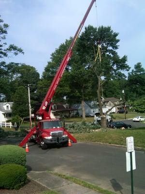 Crane and Bucket truck service available