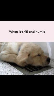 Keep Cool with Coastal Refrigeration Heating & Air!