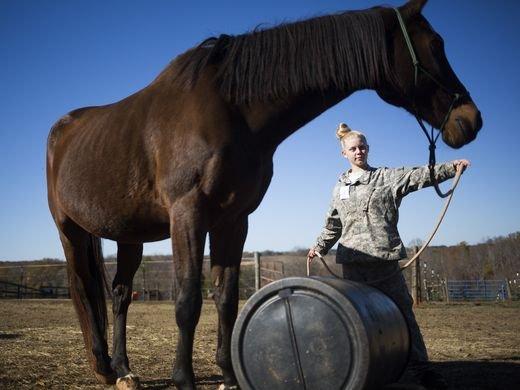 Dark Horse Equestrian Center & Hearts in Harmony