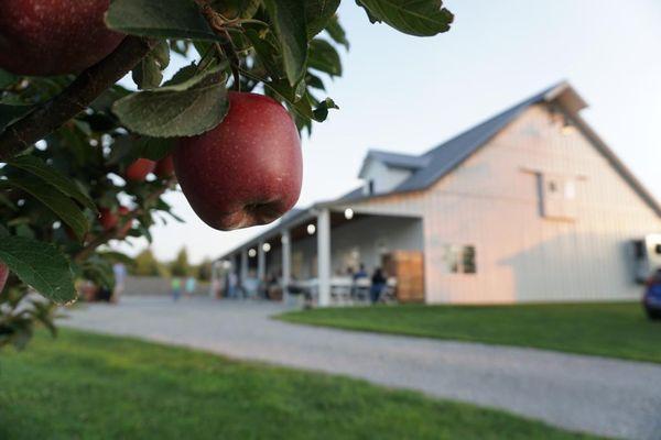 Karnes Orchard