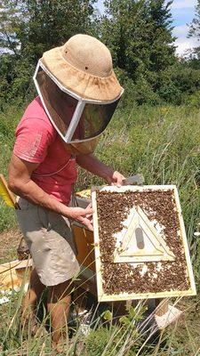 Bee Escape used for Honey Super Removal