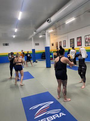 Striking/MMA Class