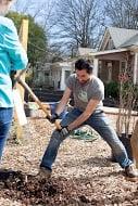 Concrete Jungle Planting Fruit Trees at Gilliam's Community Garden