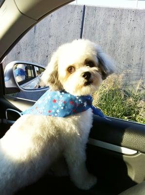 Just groomed!