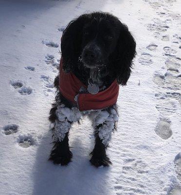 I got in a snowball fight with myself!