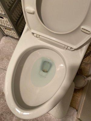 Did not clean the toilet bowl bottom