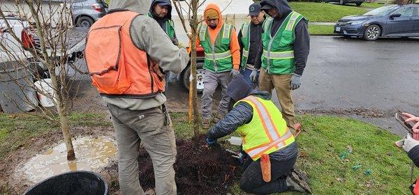 Tree planting training