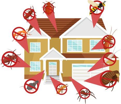 Roaches, rodents, fleas, bedbugs, ants, and more! We know how to get rid of your pest issues. Give us a call today.