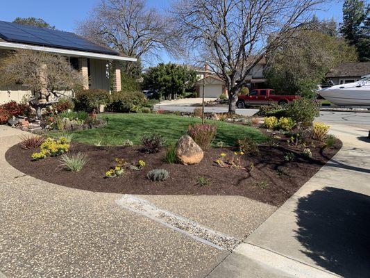 The front yard when the work was completed.