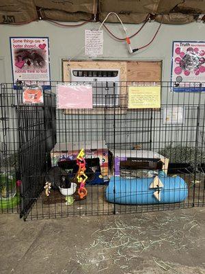 Bunnies Matter Rescue inside Floyd Lamb Park 9200 Tule Springs Rd., Las Vegas, NV 89131 Open on Saturdays 10am-3pm