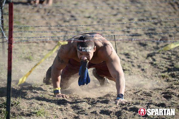 The dusty bar wire crawl.