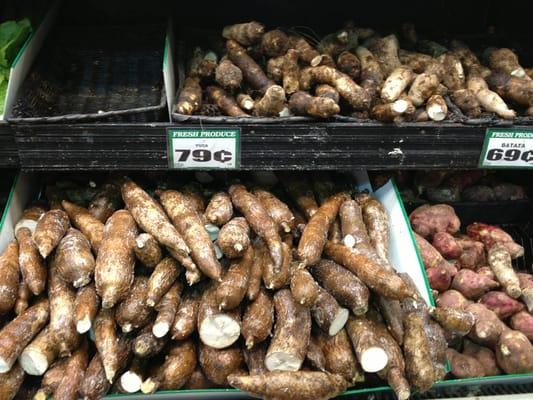 manioc