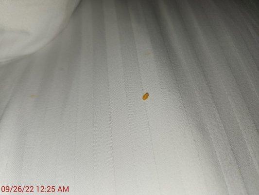 Food on the sheets.  Barf.