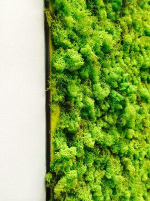 Greenery inside Zendesk :: San Francisco ::