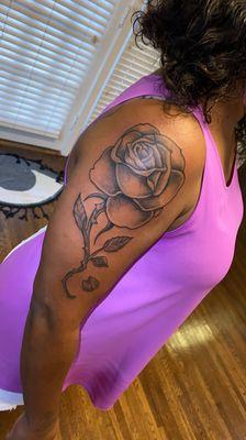 Traditional Rose