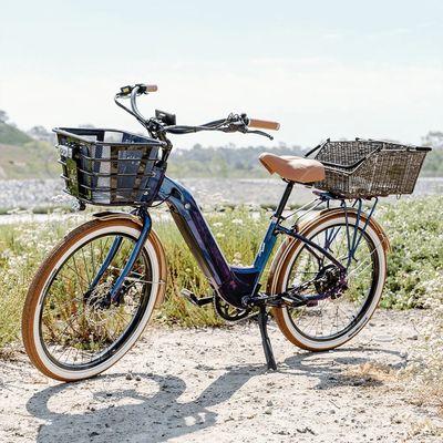 National eBike