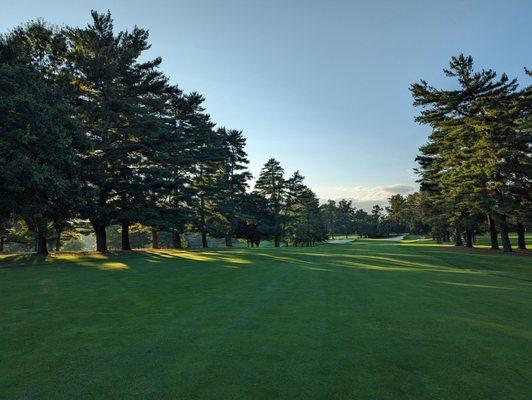 Sunset is the best time to play here. Beautiful lighting through the trees.