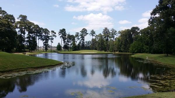 17, a TPC sawgrass like green, but smaller, further away, and a tough slanted green.