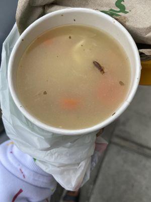 Soup from this #SUBWAY location with a roach inside.....