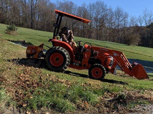 Stump grinding