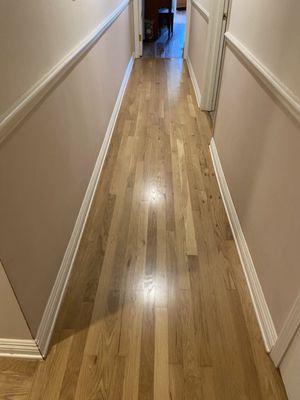 Refinished floors in hallway.