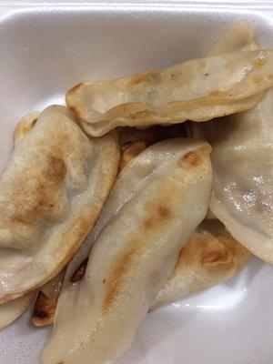 Chicken Dumplings