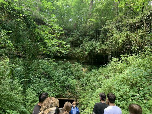 As we go down the sinkhole into the cave.