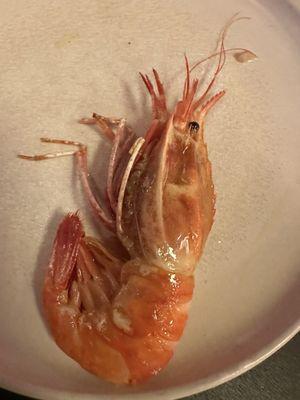 Delicious massive prawns