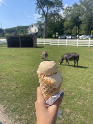 Pumpkin cheesecake / waffle cone