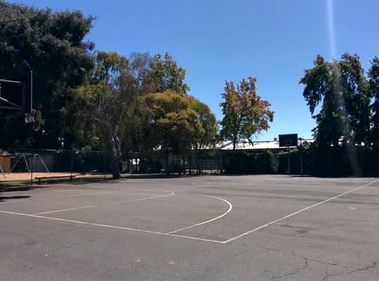 Basketball court