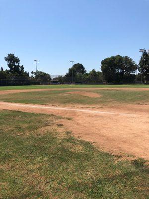 Team Beverly Hills little league champs