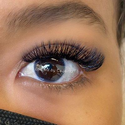 Short full volume lash extensions