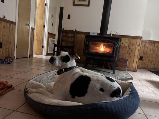 Wood burning stove