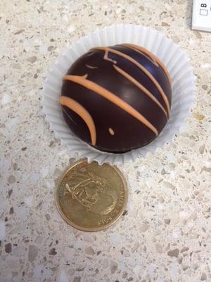 Better size comparison of the cake ball next to a dollar coin.