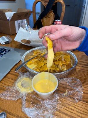 Liquid Cheese fries