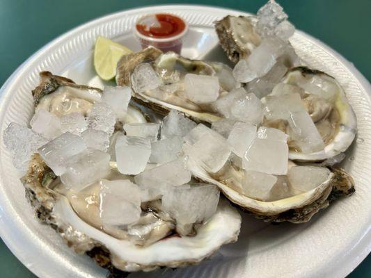 Half Dozen Oysters on the Half Shell