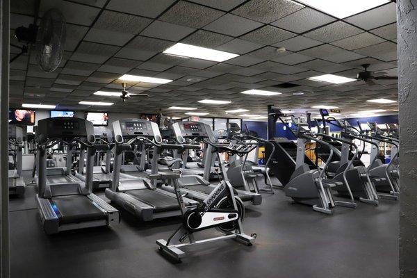 Plenty of cardio equipment!