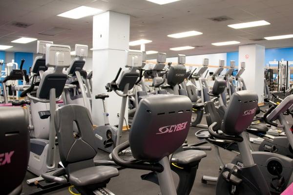 Cardio Area